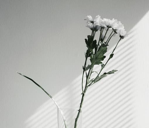 White petalled centerpiece