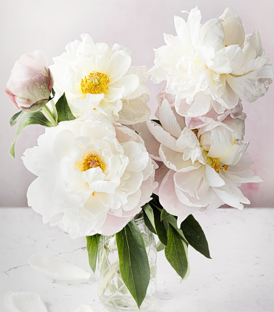 White flowers in a vase